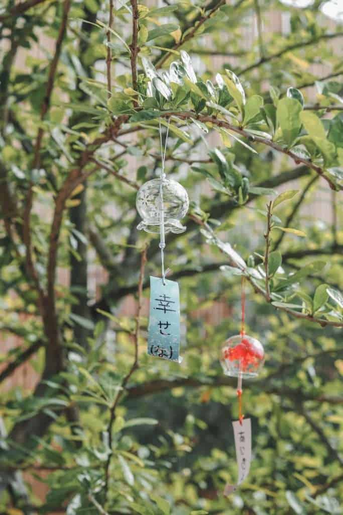 106125868 180864096709855 4686153299564344192 n » ไกด์นิวพาชิล