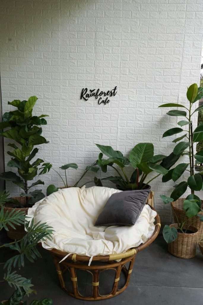 110314670 589592681701703 3458839012800972496 n » ไกด์นิวพาชิล