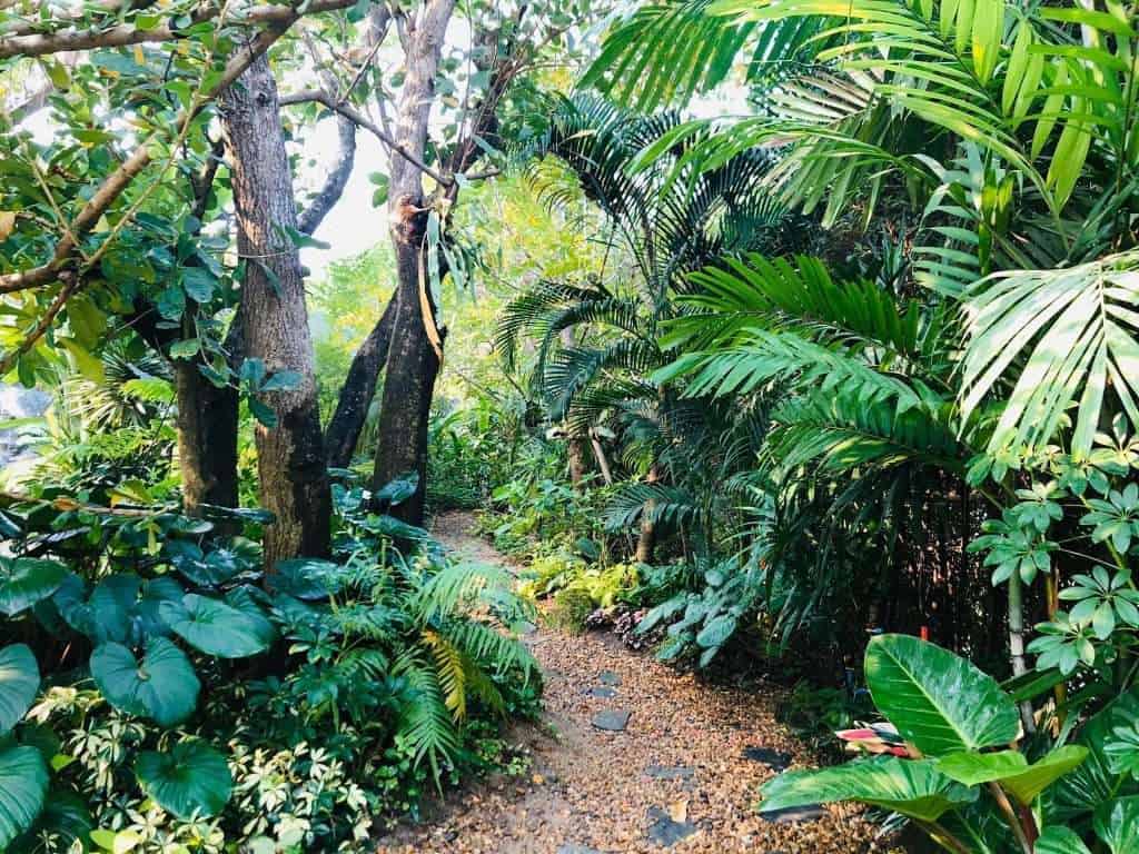 110941050 589592351701736 6965065464447964019 n » ไกด์นิวพาชิล