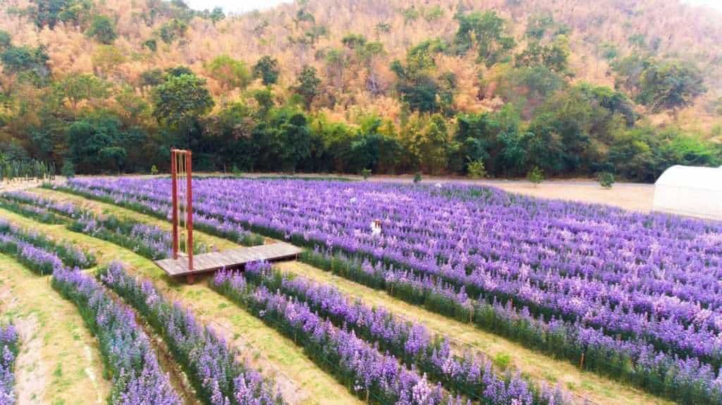 146937633 1182350042181358 86984651612488989 n » ไกด์นิวพาชิล