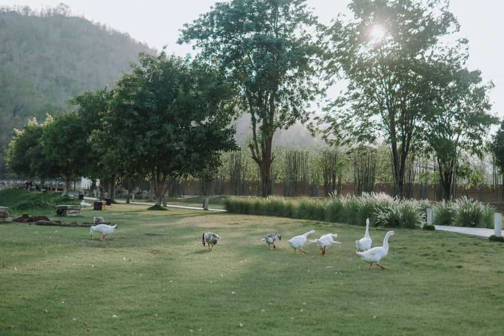 182678301 1238284079921287 824394599529149694 n » ไกด์นิวพาชิล