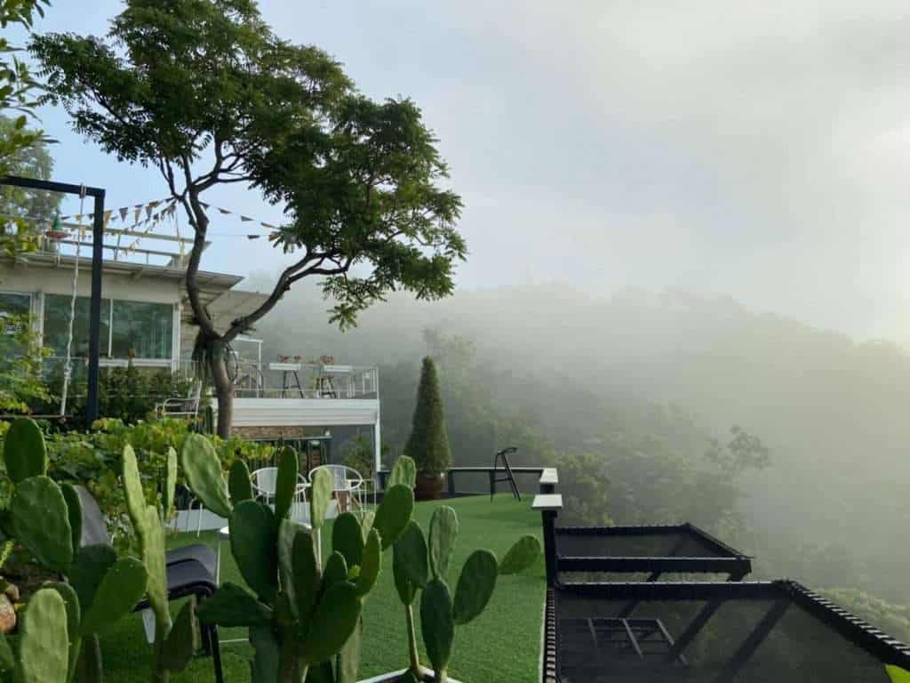 193499538 383904203161462 8675859415704397961 n » ไกด์นิวพาชิล