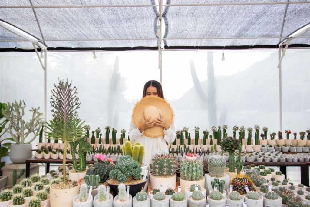 219606457 1289470498135978 5513769157117641050 n » ไกด์นิวพาชิล