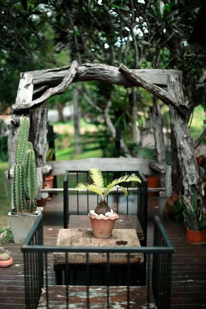 220173562 3009809195955485 3929902785662412453 n » ไกด์นิวพาชิล