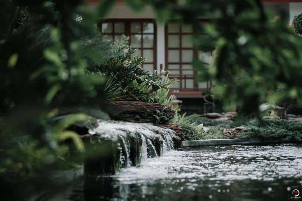 224885075 376170403845889 8279199644303691891 n » ไกด์นิวพาชิล