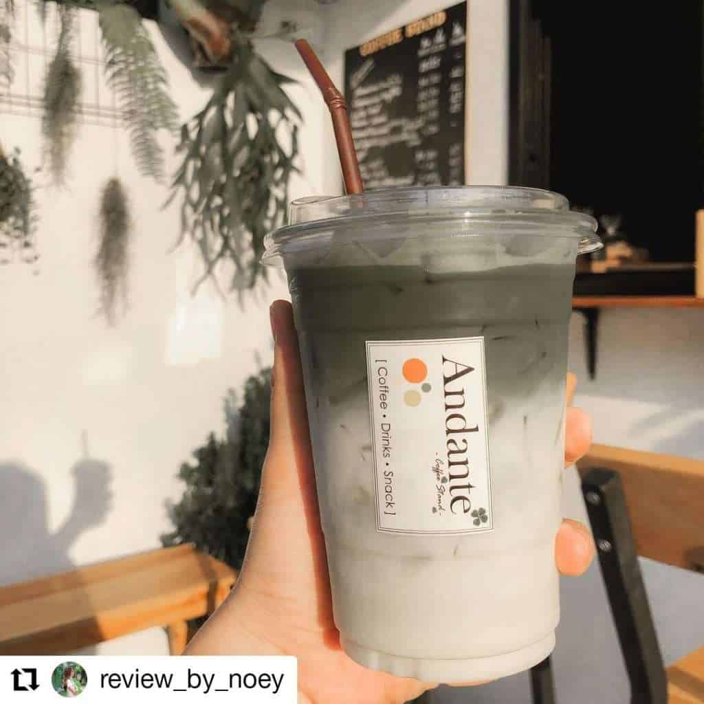 419756 » ไกด์นิวพาชิล