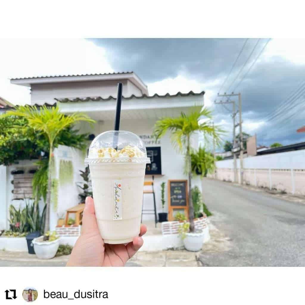 419757 » ไกด์นิวพาชิล