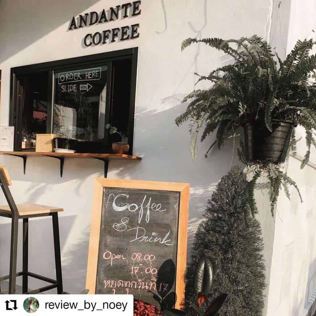 419758 » ไกด์นิวพาชิล