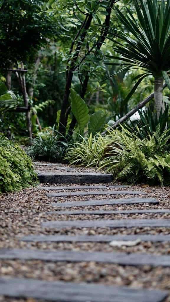 67165846 372134973447476 930105477533007872 n » ไกด์นิวพาชิล