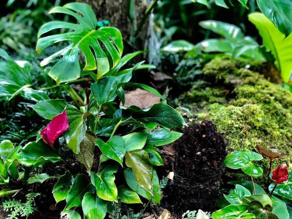 69340300 389649085029398 6772438521211781120 n » ไกด์นิวพาชิล