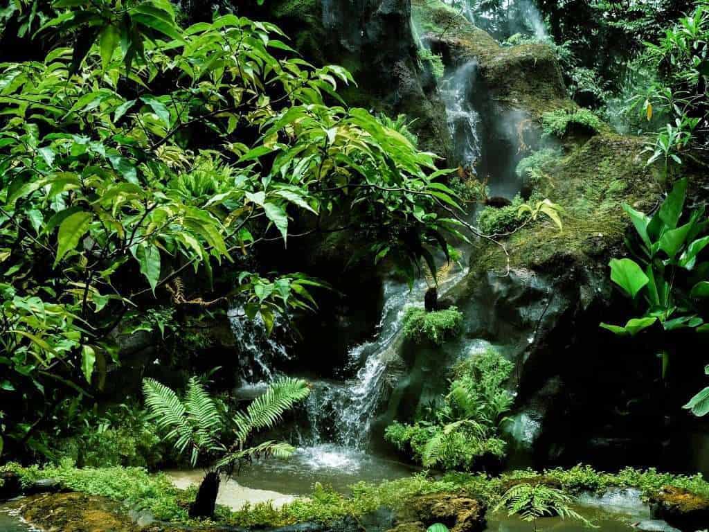 69420194 389649121696061 6618947011506864128 n » ไกด์นิวพาชิล