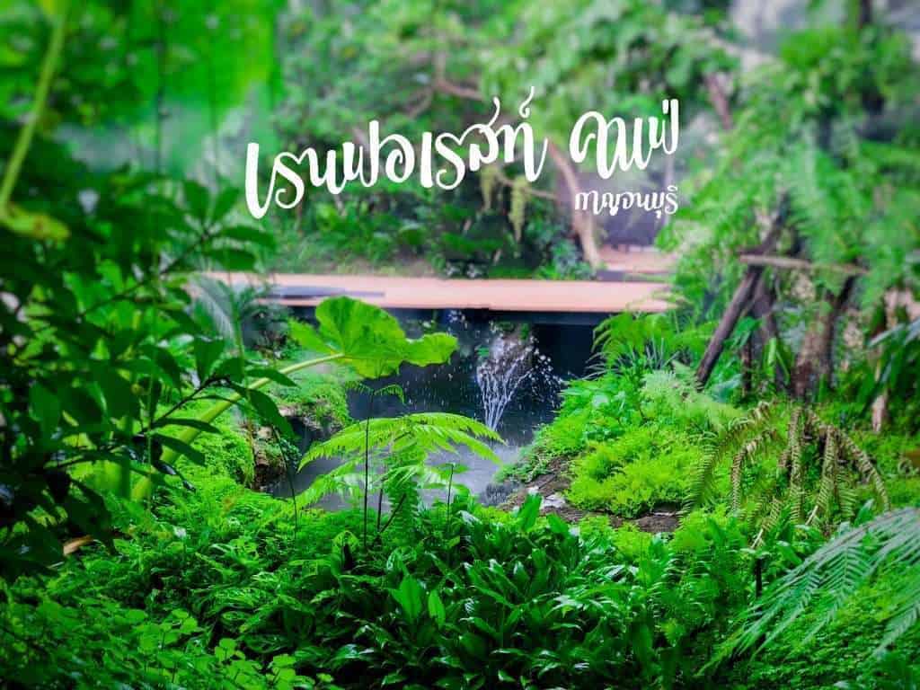 69592524 393363247991315 5090603154291032064 n » ไกด์นิวพาชิล