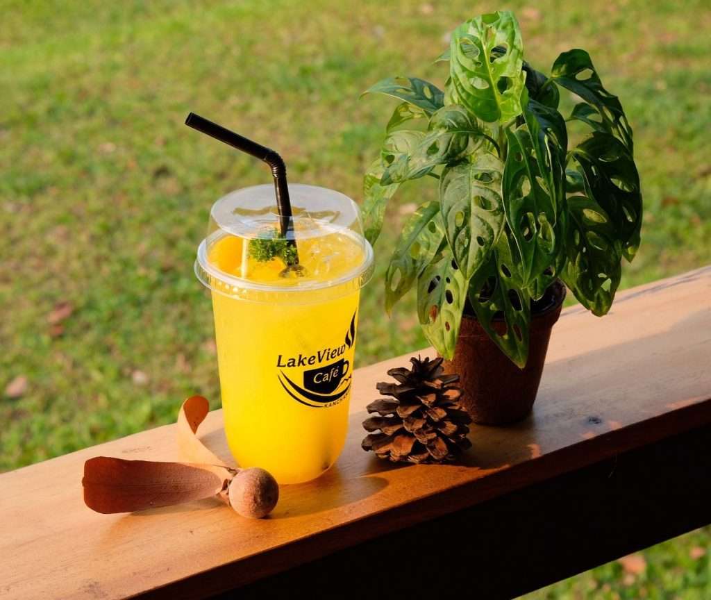 85130222 617141132406542 6433251407519809536 n » ไกด์นิวพาชิล