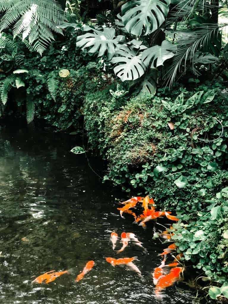 95768717 546329532694685 3146585769393520640 n » ไกด์นิวพาชิล