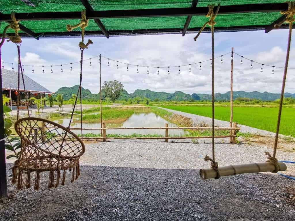 IMG 20210920 105834 » ไกด์นิวพาชิล