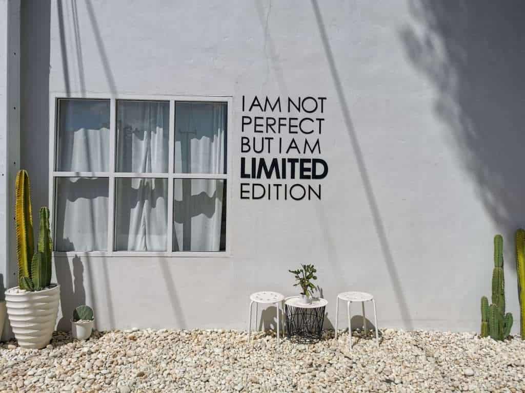 439517 » ไกด์นิวพาชิล