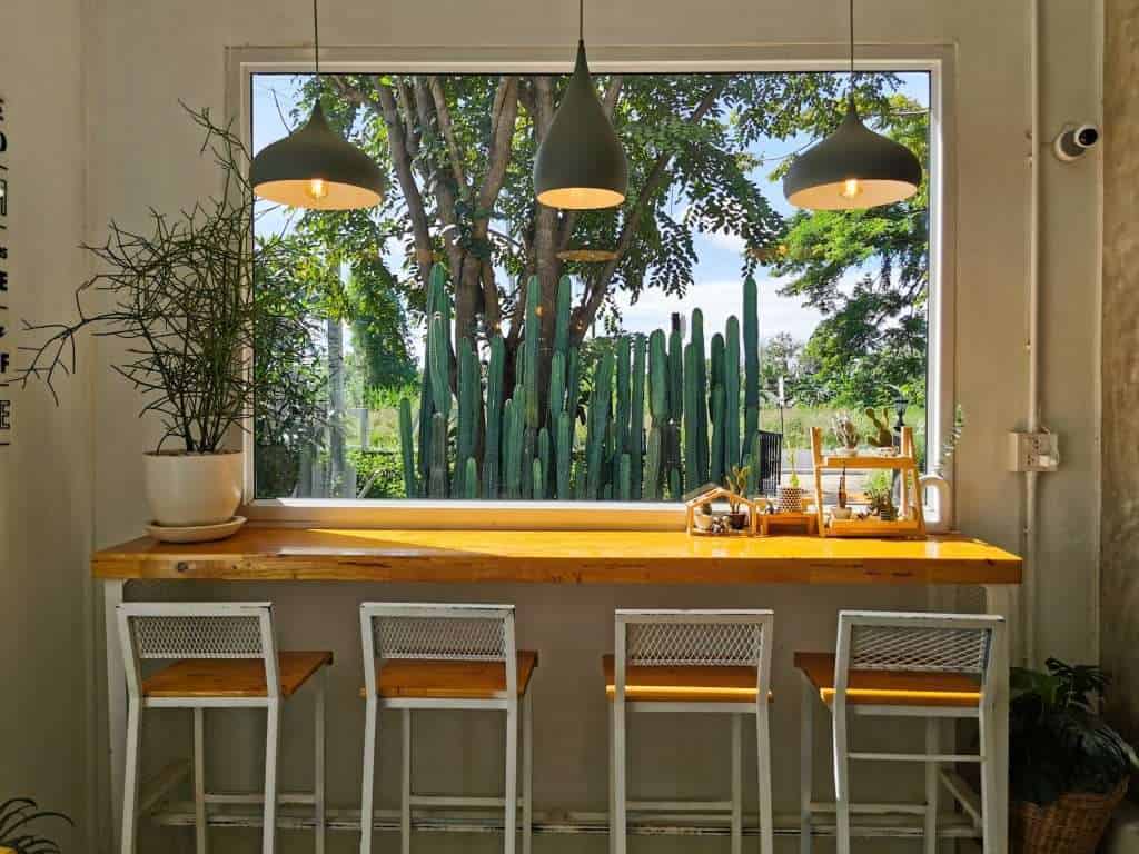 439519 » ไกด์นิวพาชิล