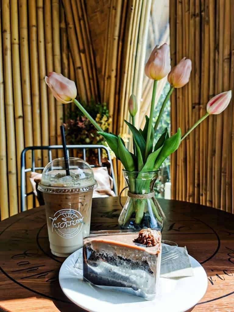 IMG 20211129 132919 263647068973311 » ไกด์นิวพาชิล