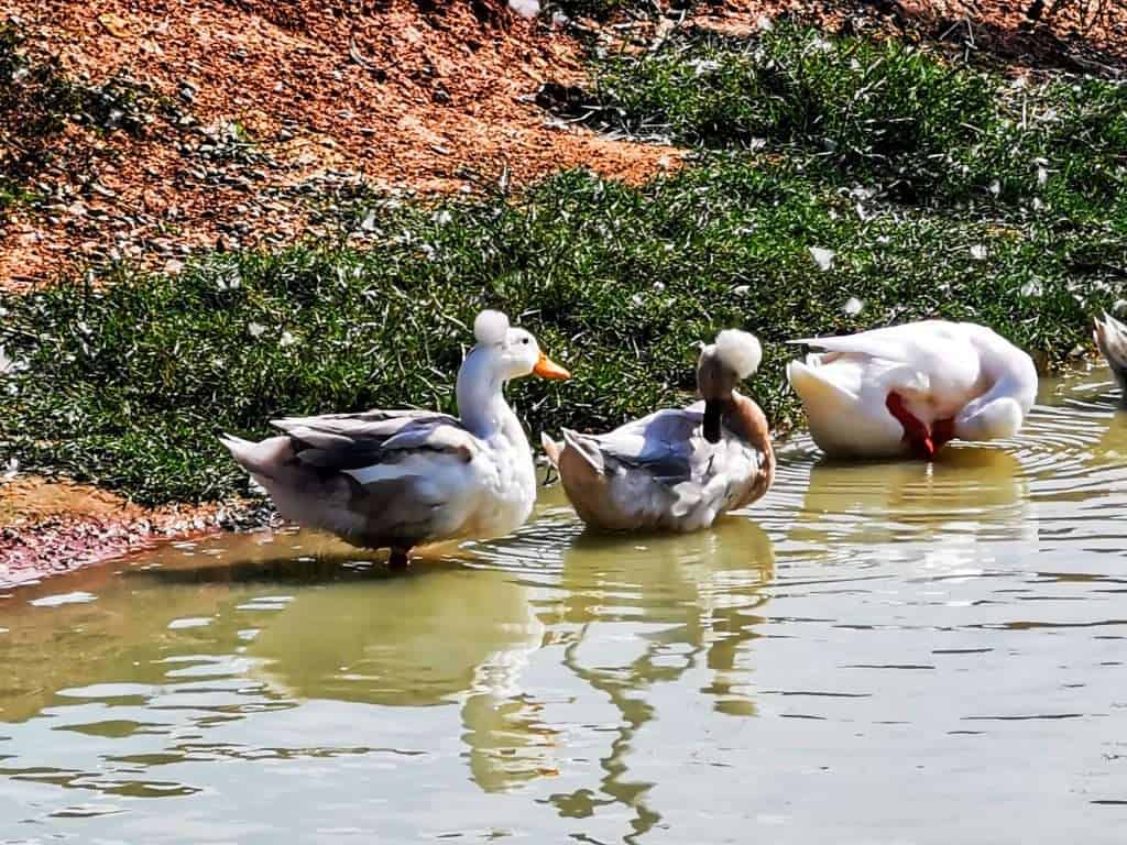 IMG 20211129 140859 01 » ไกด์นิวพาชิล